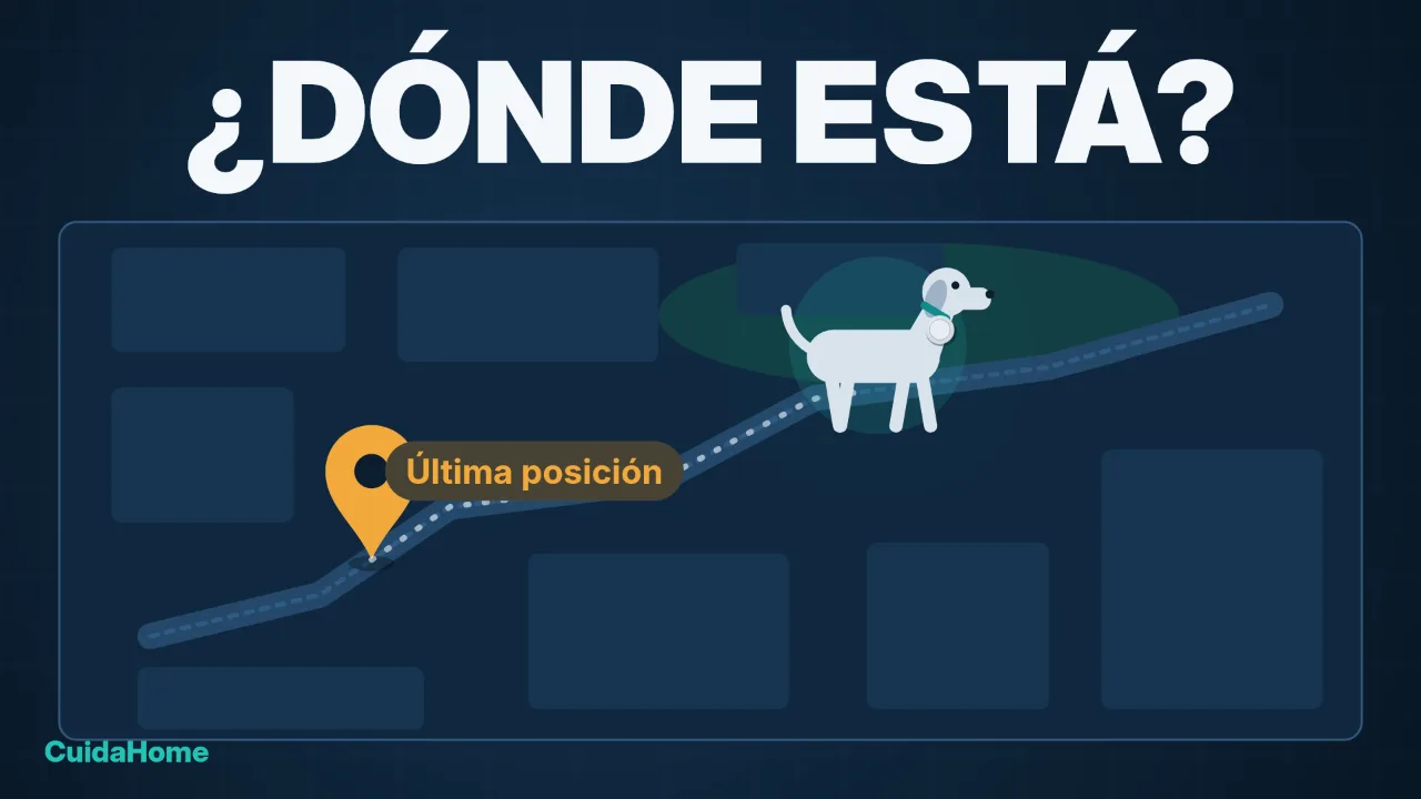 Tu perro puede desaparecer del mapa con un AirTag